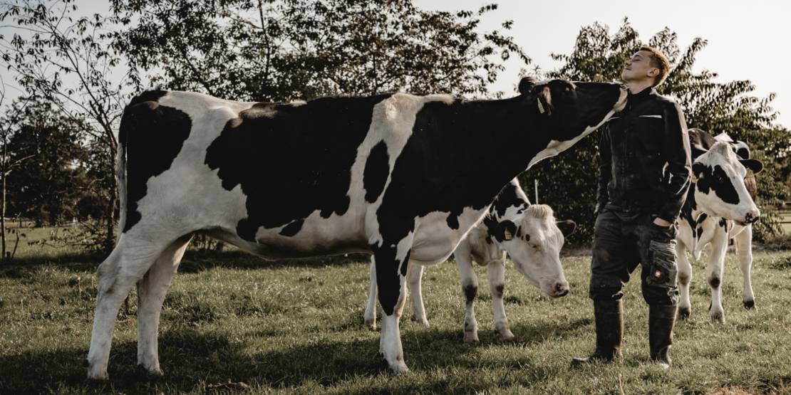 Hemme Milch