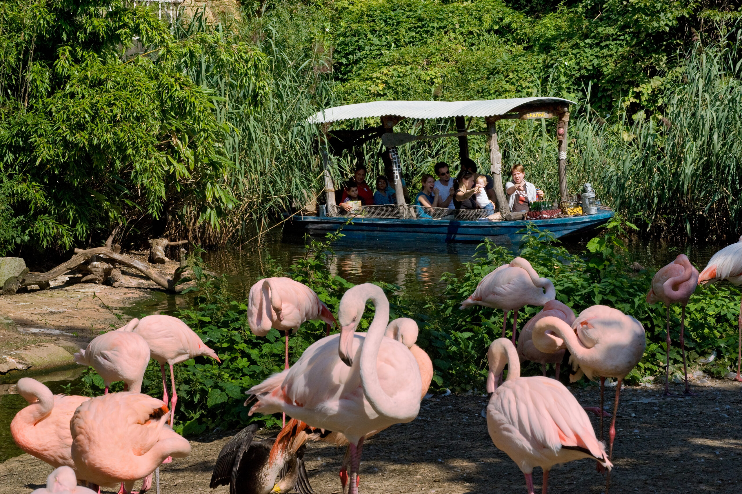 Erlebnis-Zoo Hannover