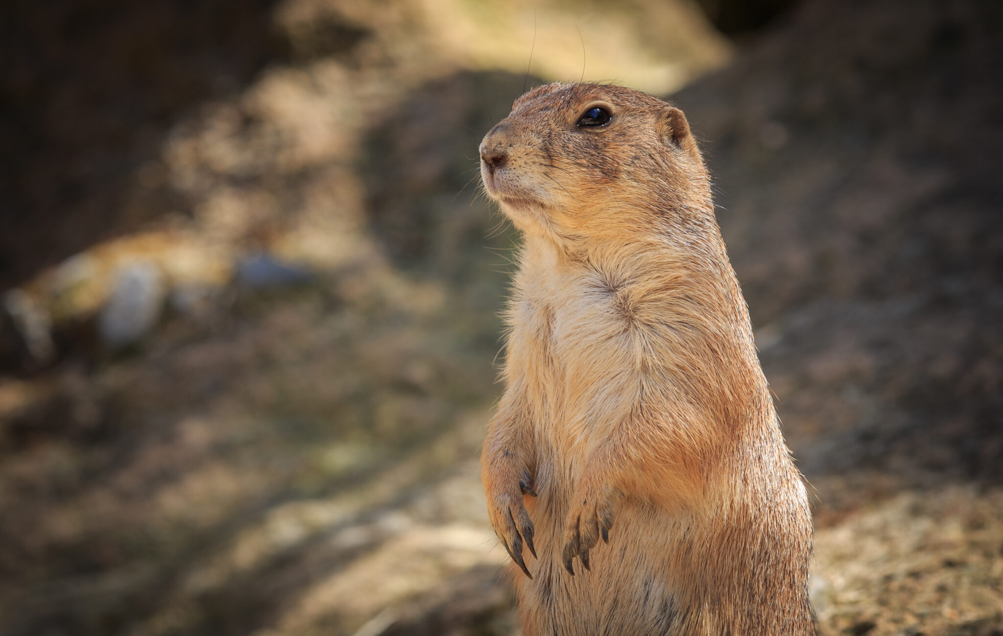 Erlebnis-Zoo Hannover