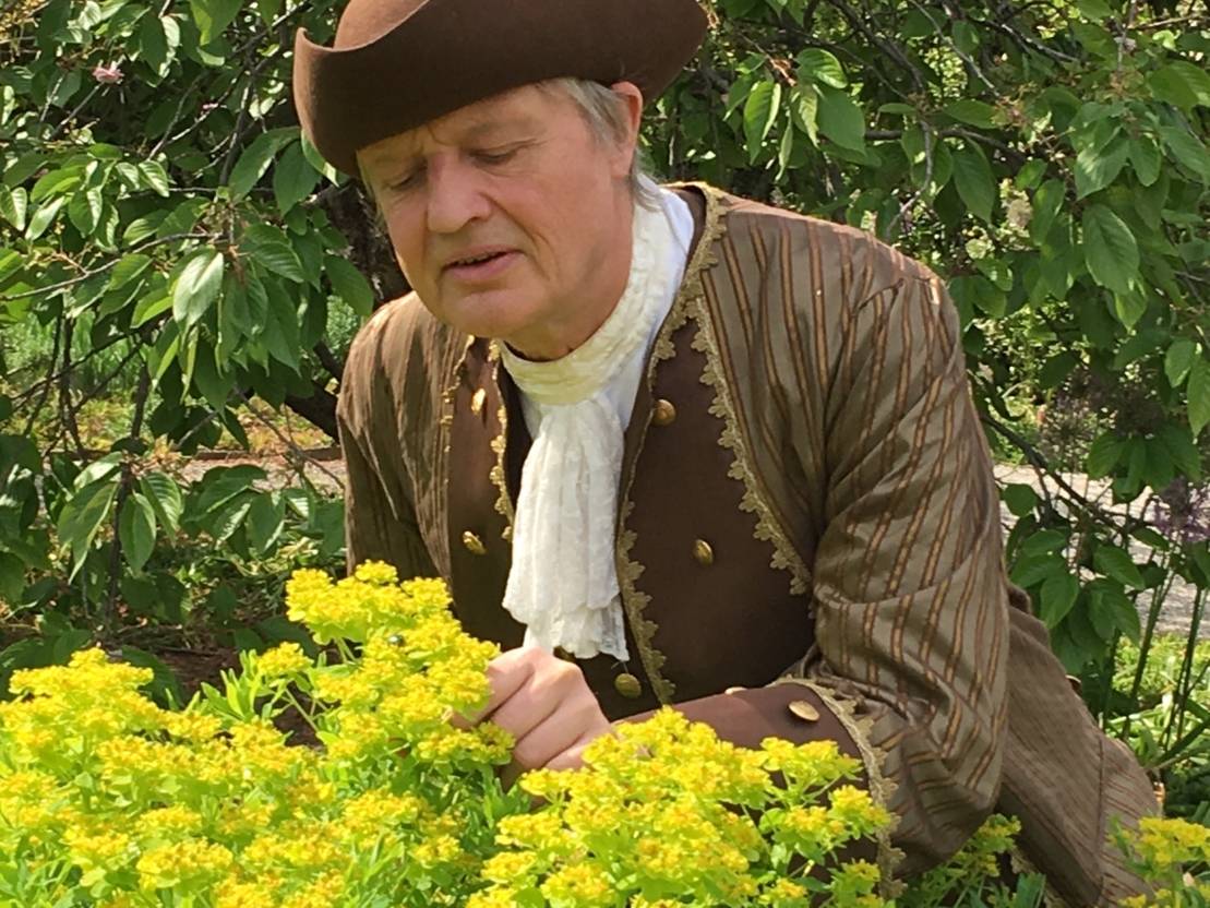 Linné-FotoHerrenhäuser Gärten