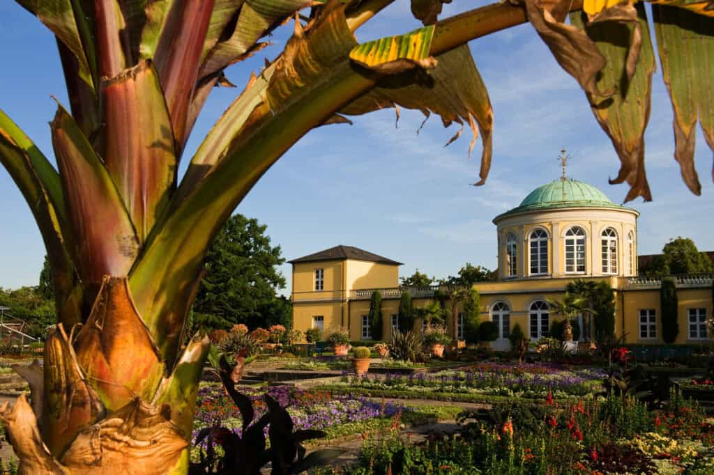 Blick auf den Berggarten mit exotischen Pflanzen und historischem Pavillon in Hannover.