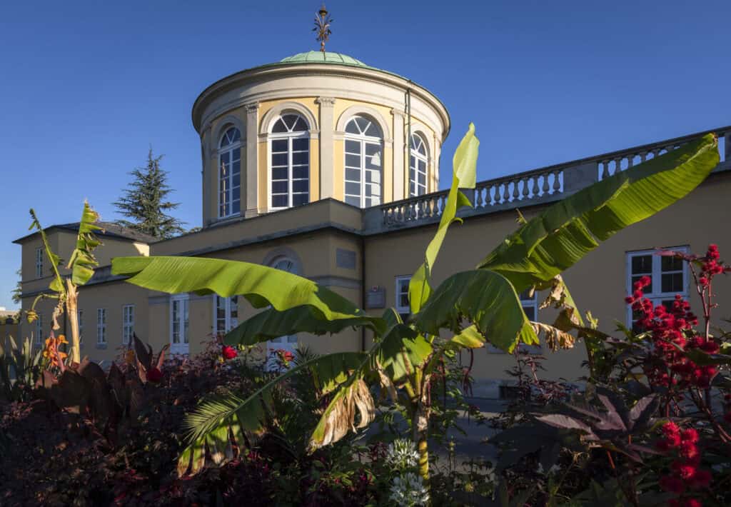 Historischer Gartenpavillon in Herrenhausen mit tropischen Pflanzen.