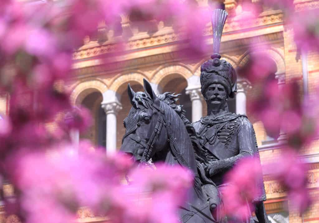 Historische Statue in Hannover mit blühenden Kirschblüten im Vordergrund.
