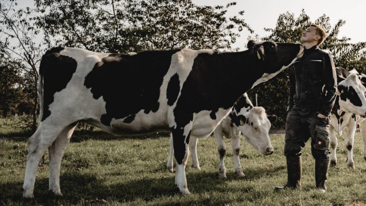 Hemme Milch