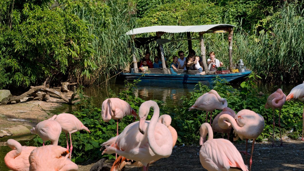 Erlebnis-Zoo Hannover
