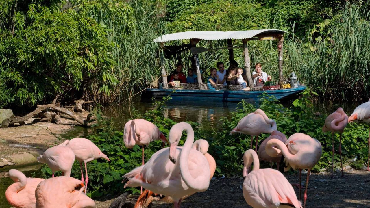 Hanover Adventure Zoo