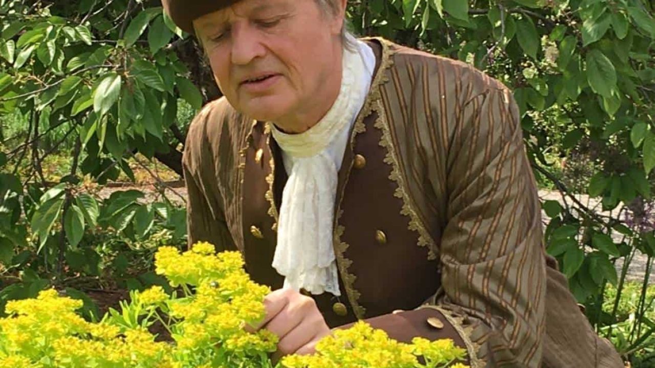 Guidet tur i den gamle bydel i historiske kostumer.